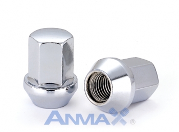 Wheel Nut (N21)