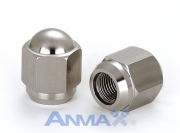 Stainless Steel Nut